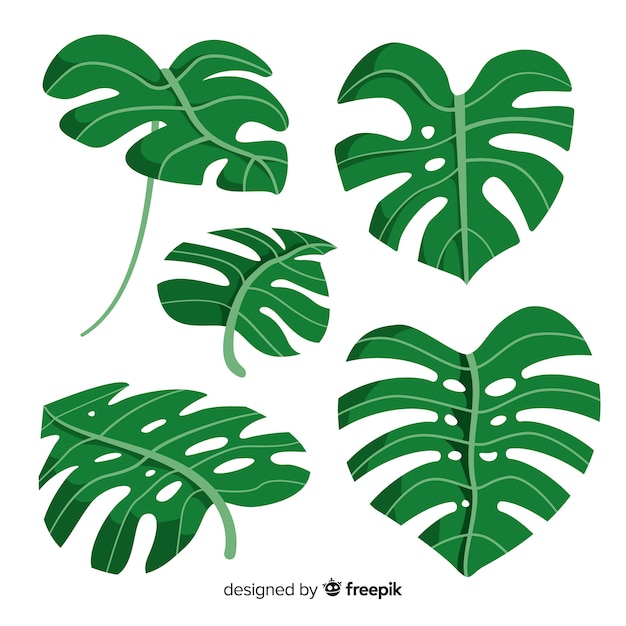 Hand getrokken monstera bladeren pack