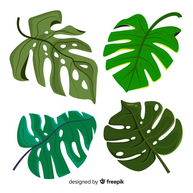 Hand getrokken monstera bladeren pack