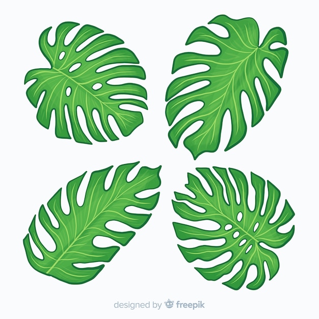 Gratis vector hand getrokken monstera bladeren