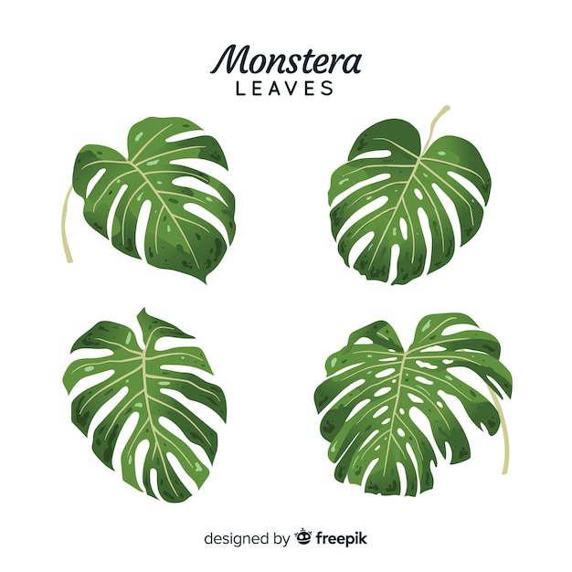 Gratis vector hand getrokken monstera bladeren