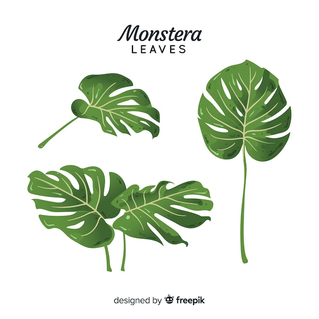 Gratis vector hand getrokken monstera bladeren