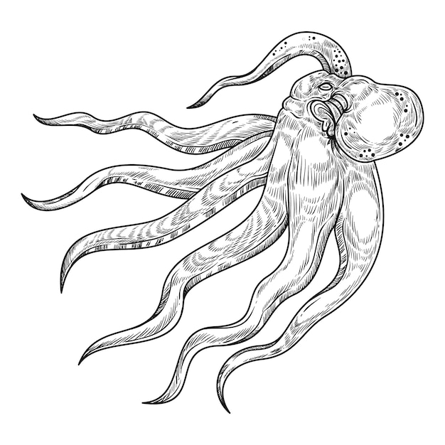 Gratis vector hand getrokken octopus tekening illustratie