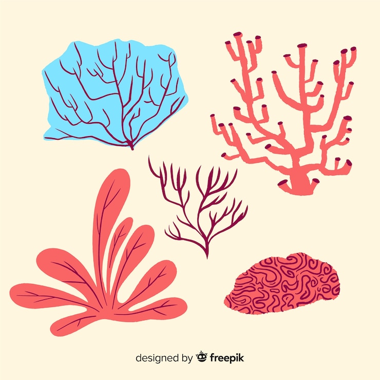 Gratis Vector hand getrokken onderwater koraal collectie