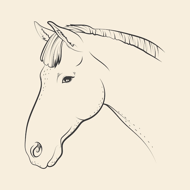 Hand getrokken paardenhoofd tekening illustratie