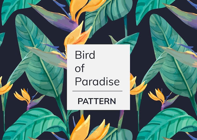 Hand getrokken paradijsvogel patroon