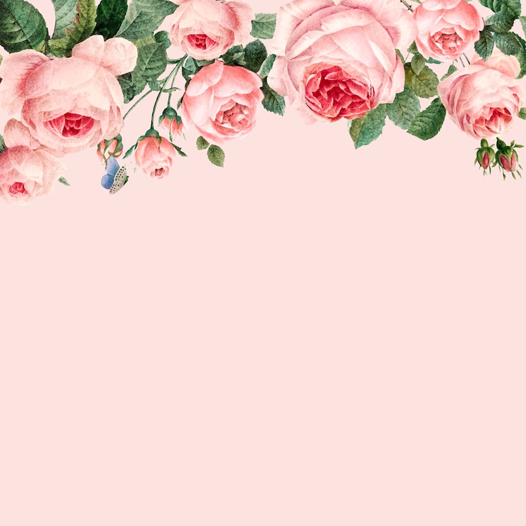 Gratis Vector hand getrokken roze rozenkader op pastelkleur roze vector als achtergrond