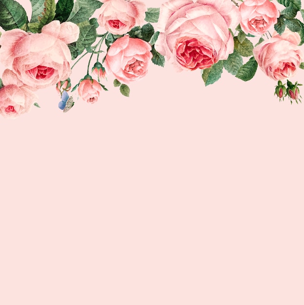Hand getrokken roze rozenkader op pastelkleur roze vector als achtergrond