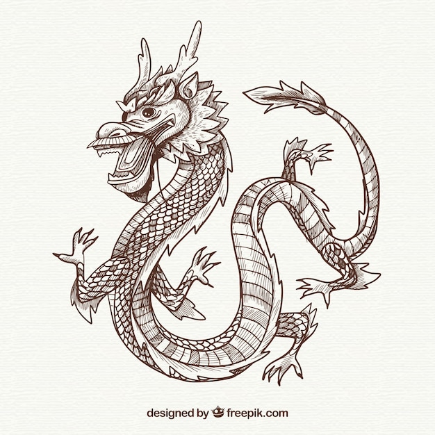 Gratis vector hand getrokken traditionele chinese draak