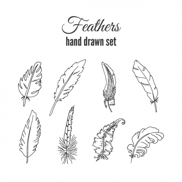 Gratis Vector hand getrokken veren pak