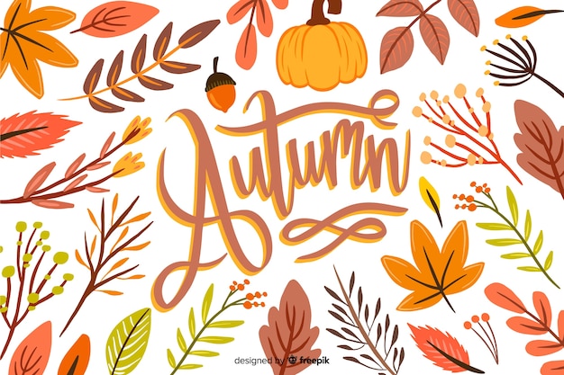 Gratis vector hand getrokken verlaat herfst achtergrond