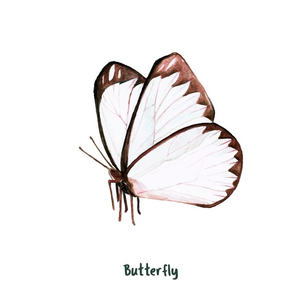 Hand getrokken vlinder geïsoleerd op een witte achtergrond