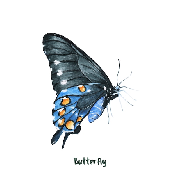 Hand getrokken vlinder geïsoleerd op een witte achtergrond