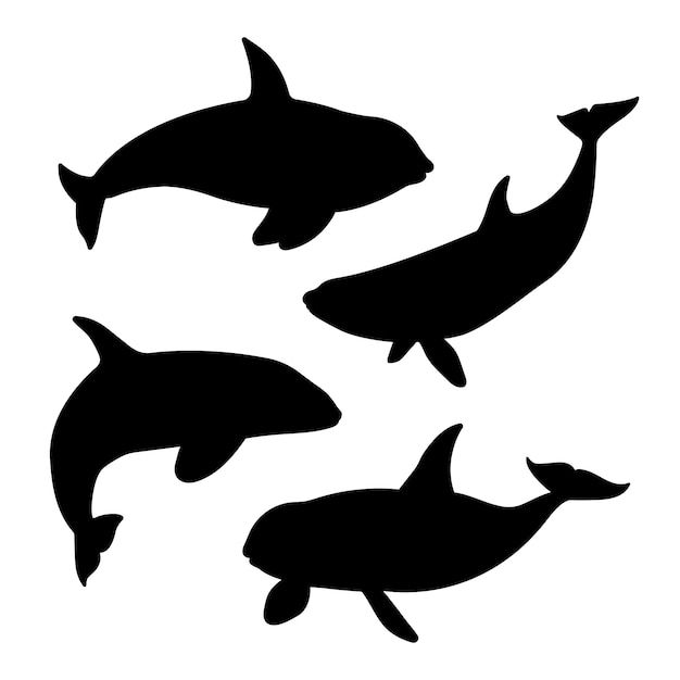 Gratis vector hand getrokken walvis silhouet