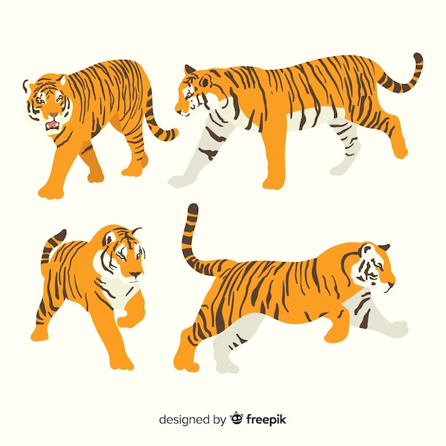 Gratis vector hand getrokken wilde tijger collectie