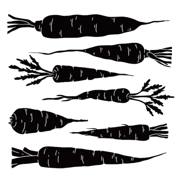Hand getrokken wortel silhouet illustratie