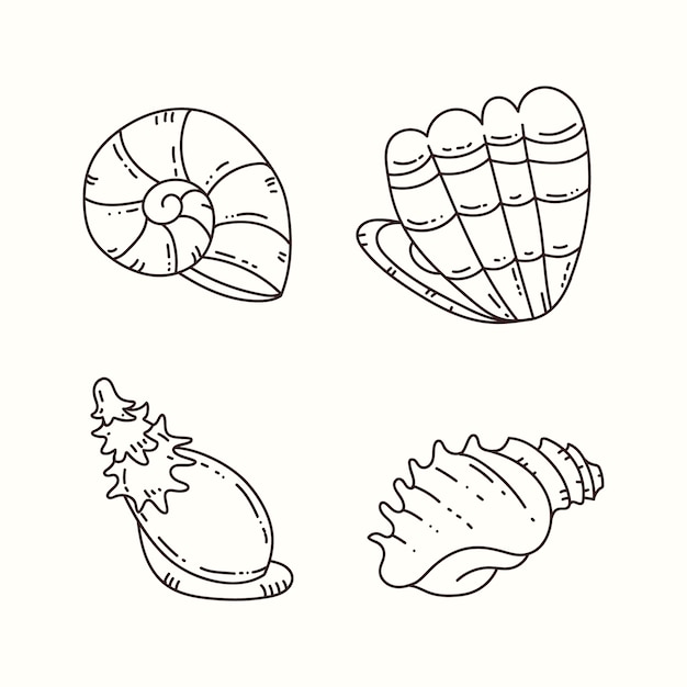 Hand getrokken zeeschelp overzicht illustratie