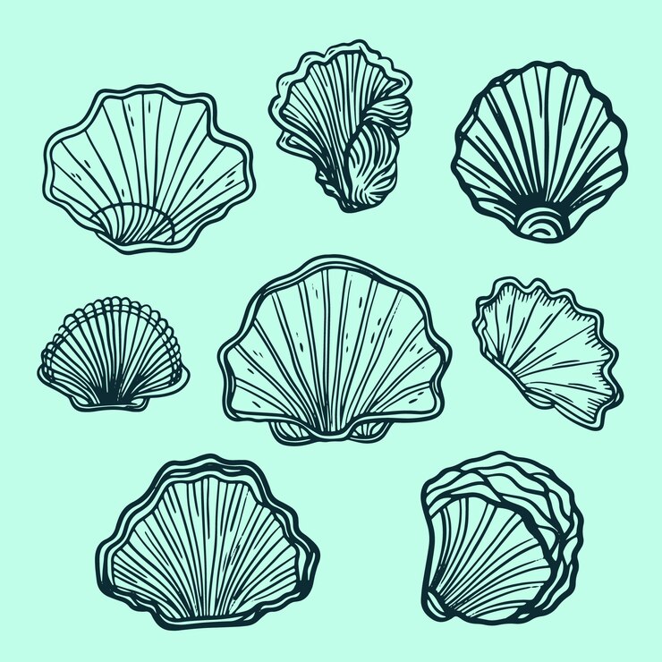 Gratis Vector hand getrokken zeeschelp overzicht illustratie