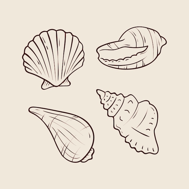 Hand getrokken zeeschelp overzicht illustratie