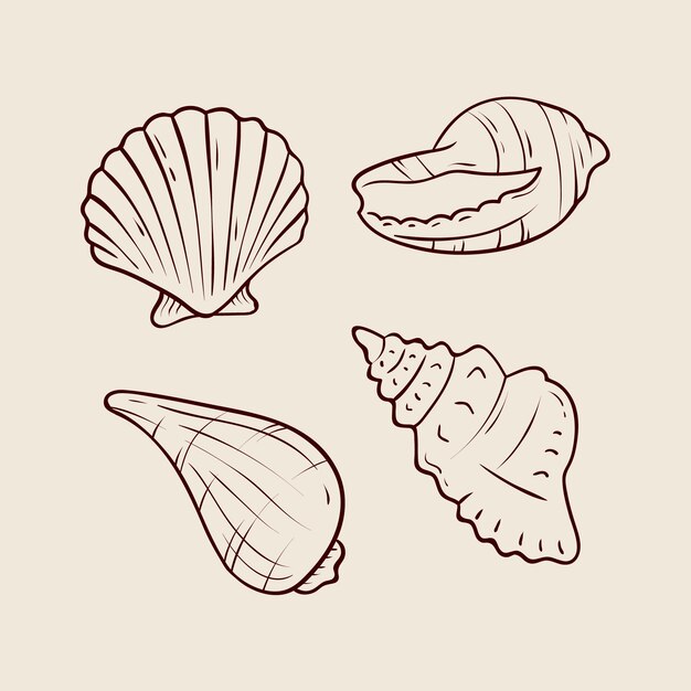 Hand getrokken zeeschelp overzicht illustratie