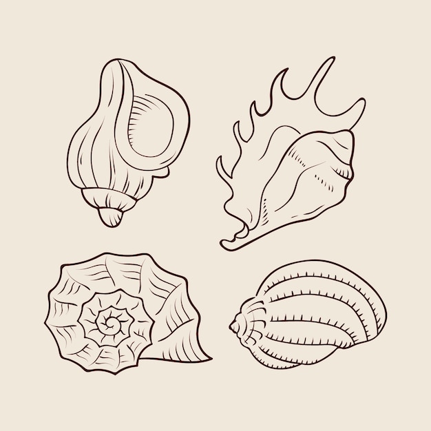 Hand getrokken zeeschelp overzicht illustratie