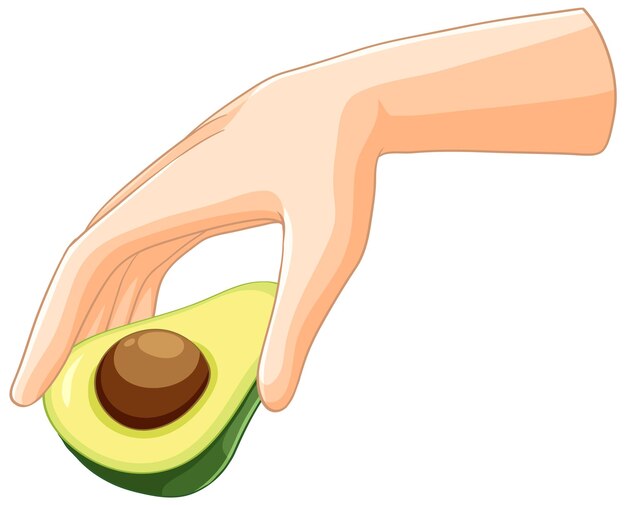 Hand met een halve verse avocado