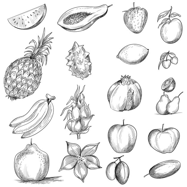Hand tekenen collectie fruit schets op witte achtergrond