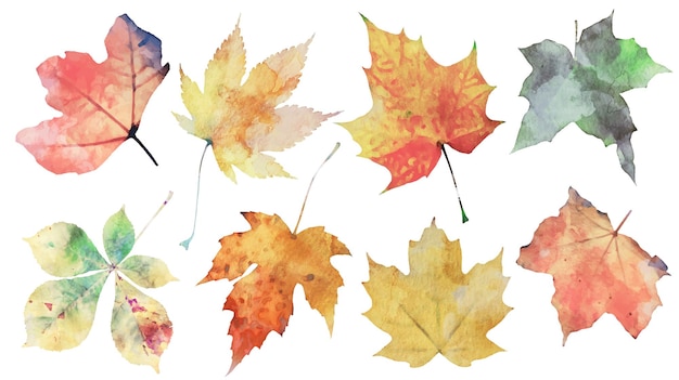 Gratis vector hand tekenen herfst aquarel bladeren set