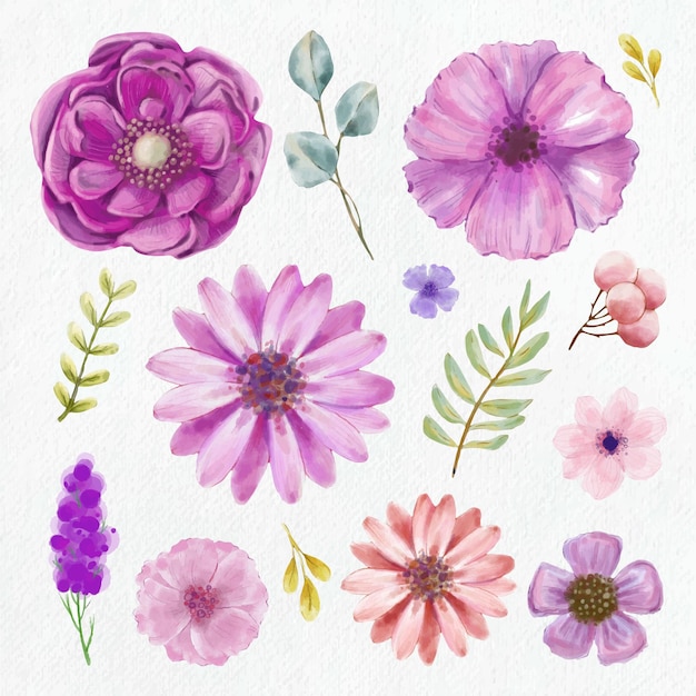 Gratis vector handgeschilderde aquarel bloemen collectie