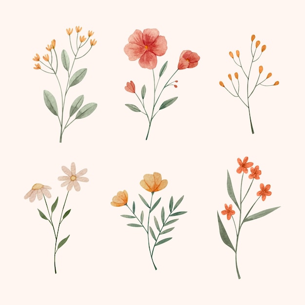 Gratis vector handgeschilderde aquarel bloemen collectie