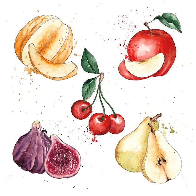 Handgeschilderde aquarel fruit collectie