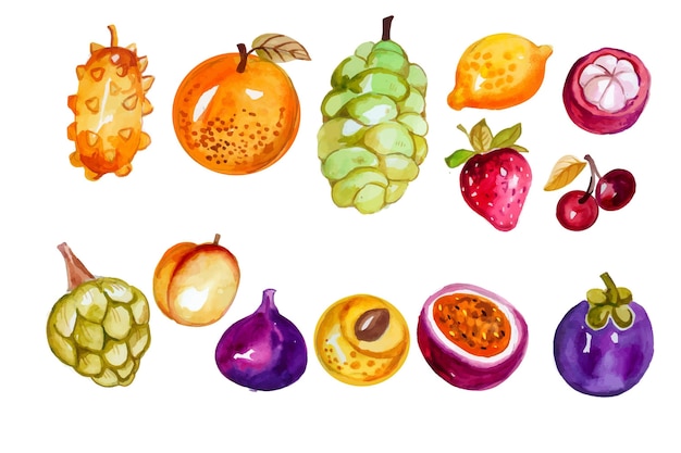 Handgeschilderde aquarel fruit set