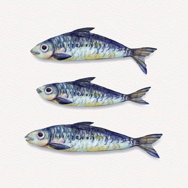 Gratis vector handgeschilderde heerlijke sardineillustratie