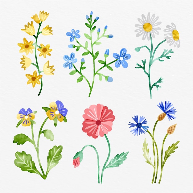 Handgeschilderde lentebloemen collectie