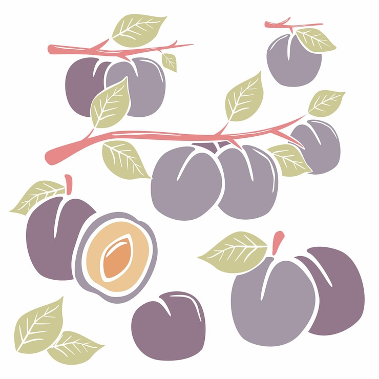 Gratis Vector handgeschilderde pruimen met bladeren