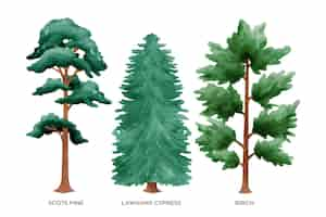 Gratis vector handgeschilderde soort bomen collectie