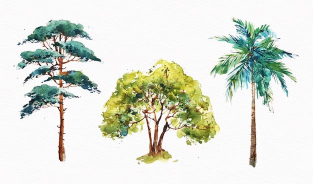 Handgeschilderde soort bomen collectie