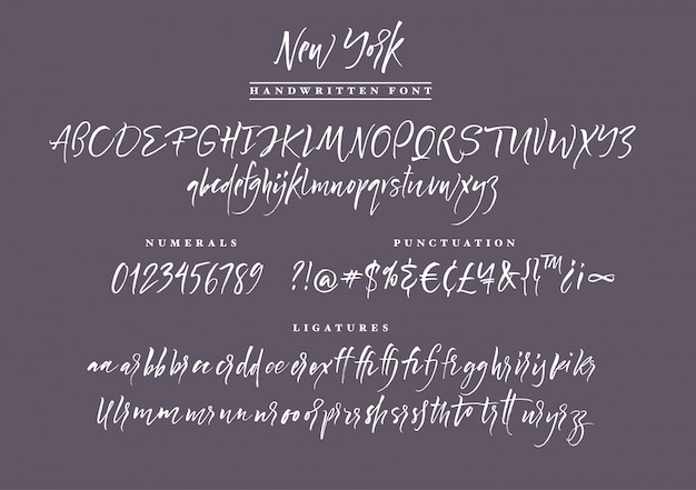 Handgeschreven script lettertype. borstletter. hoofdletters, cijfers, interpunctie