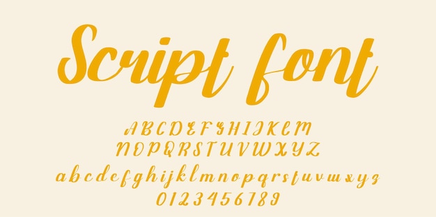 Handgeschreven script lettertype. penseel lettertype
