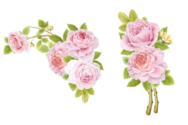handgetekende aquarel rozen boeketten set