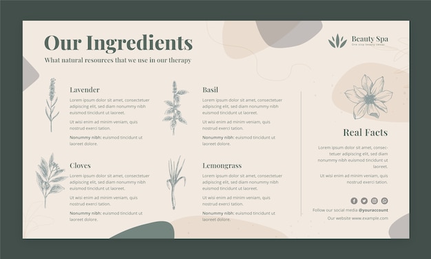 Handgetekende beauty spa infographic sjabloon