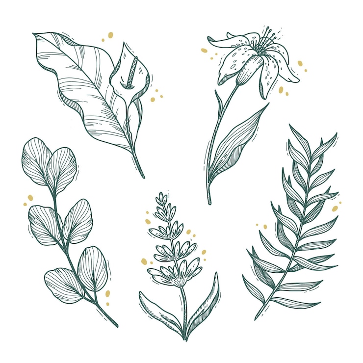 Gratis Vector handgetekende bloemencollectie