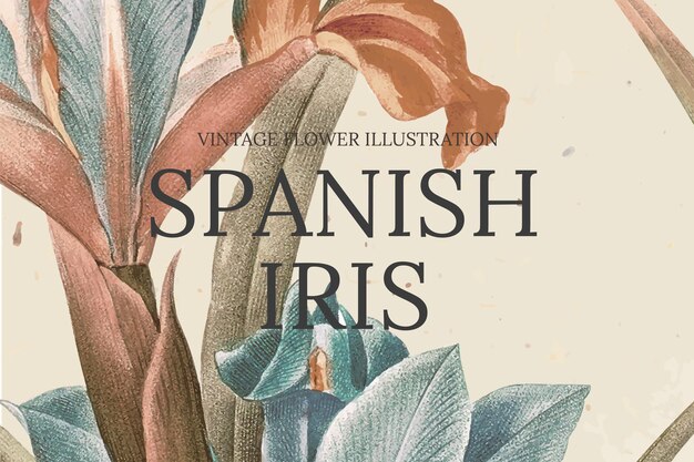 Handgetekende bloemsjabloon met Spaanse irisachtergrond, geremixt van kunstwerken uit het publieke domein