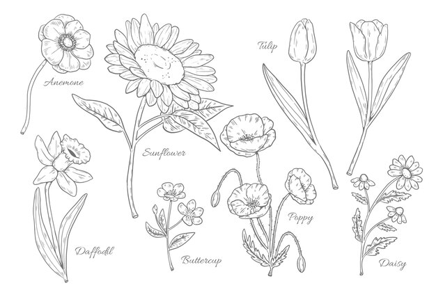 Handgetekende botanische bloemenkaart