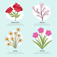 Gratis vector handgetekende botanische bloemenkaart