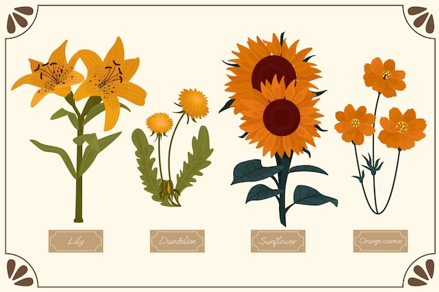 Gratis vector handgetekende botanische bloemenkaart