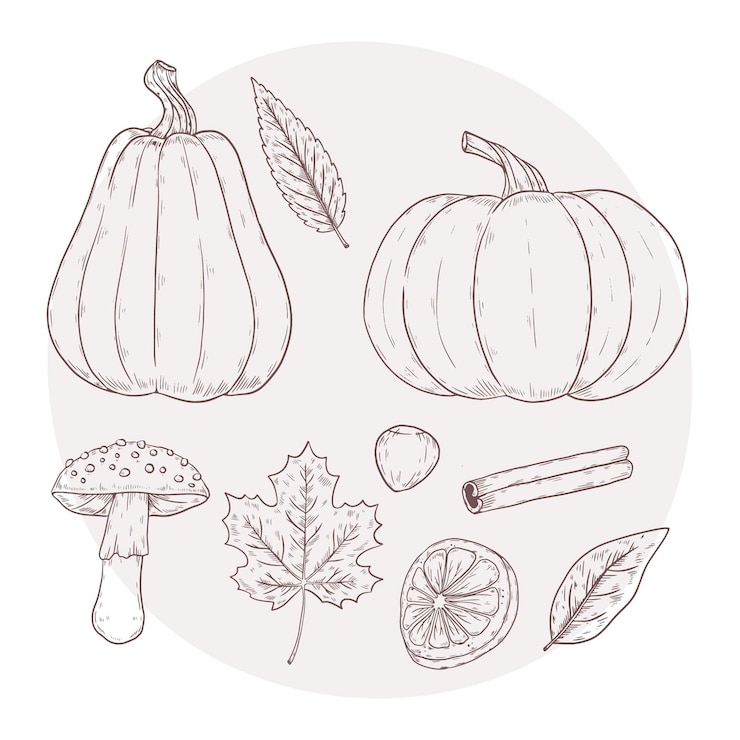 Gratis Vector handgetekende elementencollectie voor de herfst