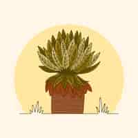 Gratis vector handgetekende frailejon plant illustratie