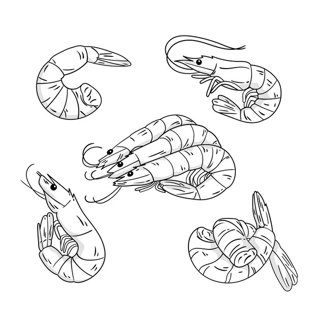 Handgetekende garnalen schets illustratie