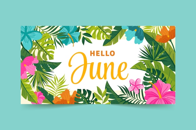 Gratis vector handgetekende hallo juni banner