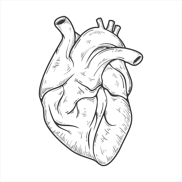 Gratis vector handgetekende harttekening illustratie